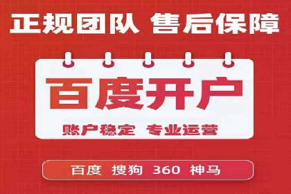 某品牌通过百度广告实现快速增长的案例